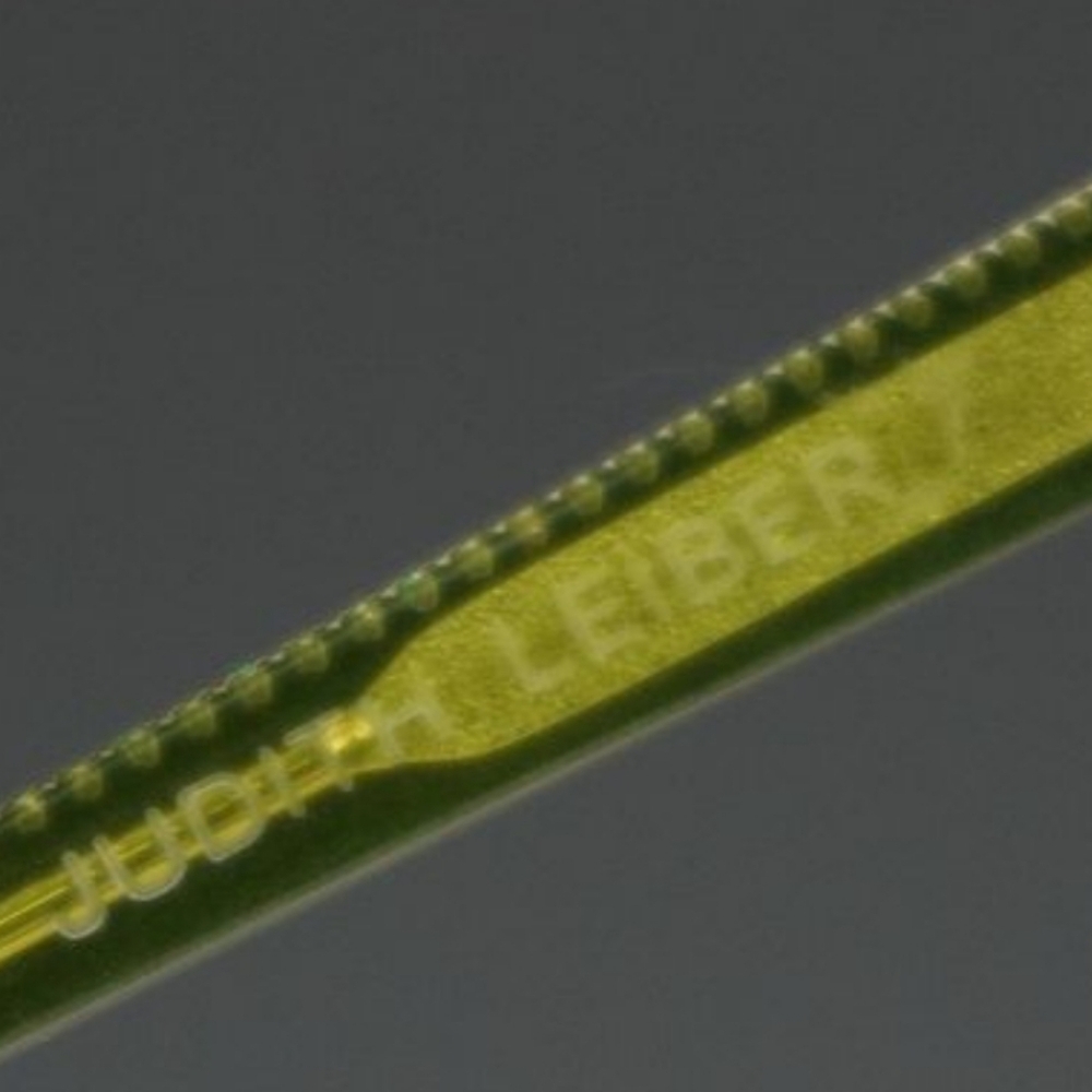 RARE Judith Leiber Cat-Eye Glasses | Green JL1171 Designer Eyewear Frame 53-17-1 - Picture 7 of 8